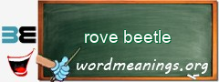 WordMeaning blackboard for rove beetle